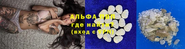 СК Пролетарск