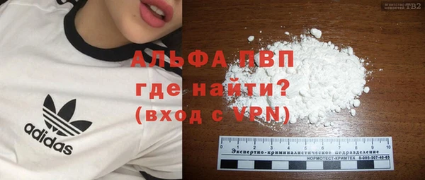 спиды Рославль