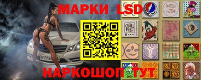 apvp Пугачёв