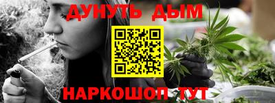 apvp Пугачёв