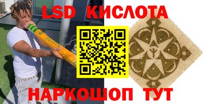apvp Пугачёв